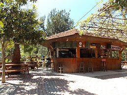 Olympos Orange