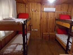 Olympos Orange