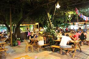 Olympos Orange