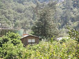 Olympos Orange