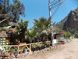 Olympos Orange