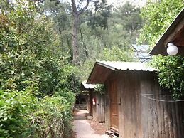 Olympos Orange