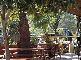 Olympos Orange