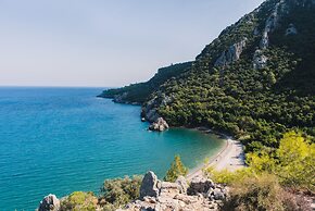 Olympos Orange