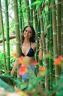 Manglar Lodge