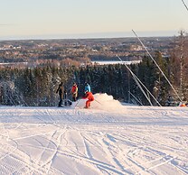 Högbo Pensionat Skommarsgården