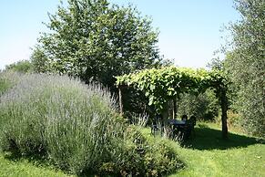 Podere il Pino