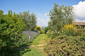 Podere il Pino