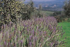 Podere il Pino