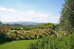 Podere il Pino
