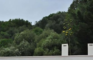 Amazigh Hostel