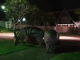 Ndiza Lodge & Cabanas