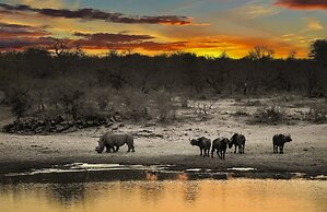 Ndiza Lodge & Cabanas