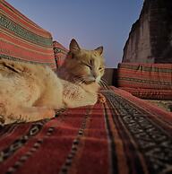 Bedouin Lifestyle Camp