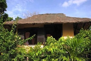Whale Island Resort