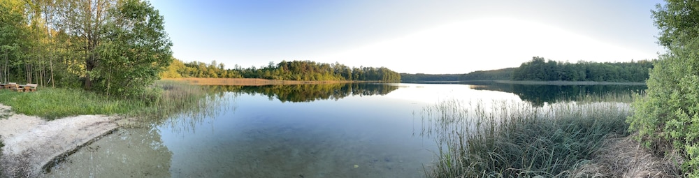 Palac Mysliwski - Orle