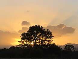 Teniqua Treetops