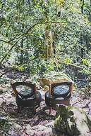 Teniqua Treetops