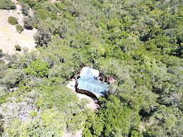 Teniqua Treetops