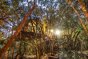 Teniqua Treetops