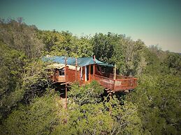 Teniqua Treetops