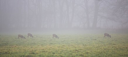 Landgoed Zonheuvel