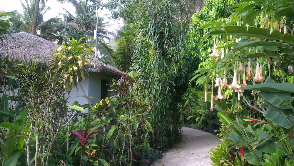Lagoon Gardens