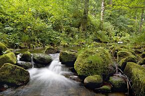 Traube Tonbach