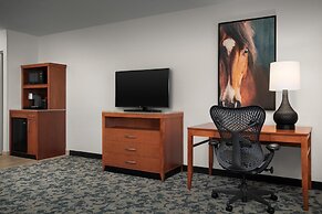 Hilton Garden Inn Fort Worth Medical Center