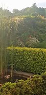 Constantia Manor Guest House