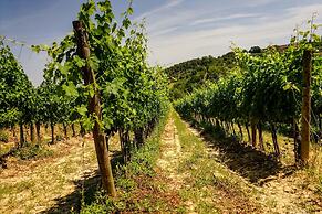 Tenuta Sant'Ilario