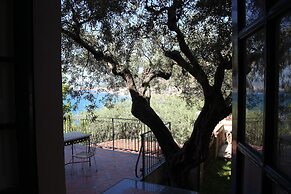 Villa degli Ulivi