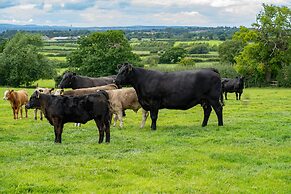 Higher Farm