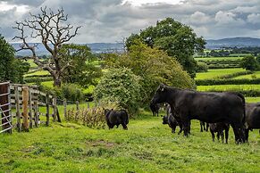 Higher Farm