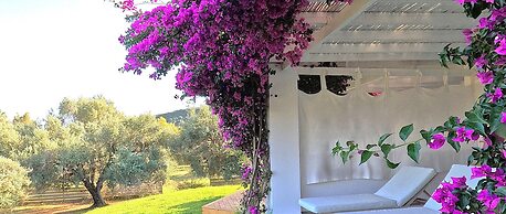 Olivemare