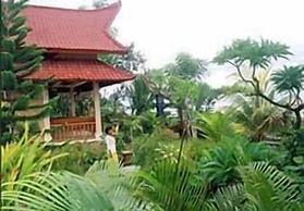 Apa Kabar Villas