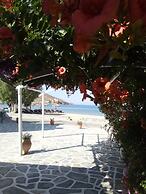 Mare Monte