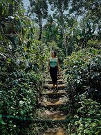 Munduk Moding Plantation Nature Resort