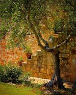 Fontana Vecchia Bed & Breakfast