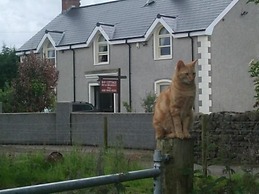 Bay Cottage B&B