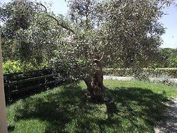 Casale delle Rose