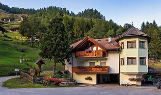 Hotel Vioz - Family Hotel & Apartments