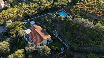 Agriturismo La Collina Verde