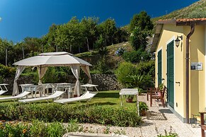 Agriturismo La Collina Verde