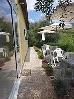 Agriturismo La Collina Verde
