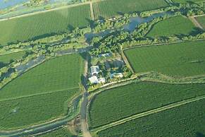 African Vineyard Guest House