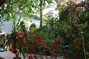 Riad El Arsat