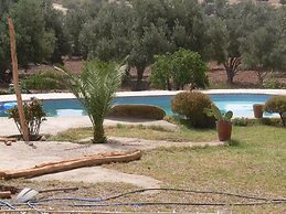 Douar des Oliviers