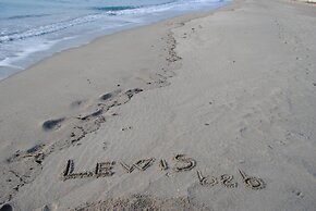 Lewisrooms Domo