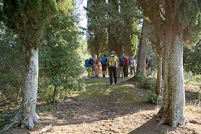 Torraccia di Chiusi